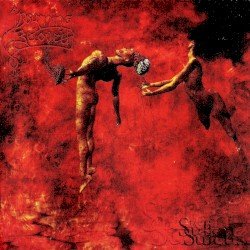 The Sullen Sulcus Cover