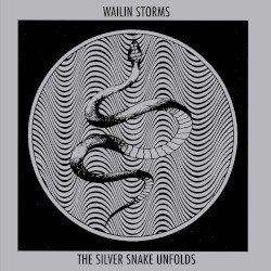 Wailin Storms – The Silver Snake Unfolds Cover