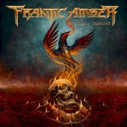 Burning Insight Cover