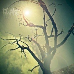 Rest Cover