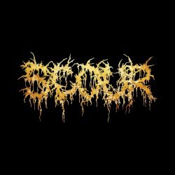 Scour – Gold Cover