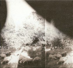GODSPEED YOU! BLACK EMPEROR Cover