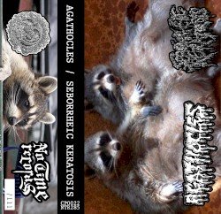 AGATHOCLES – Agathocles / Seborrheic Keratosis Split Cover