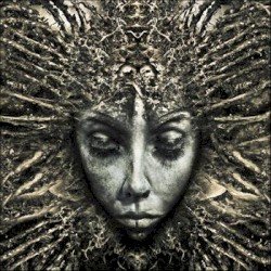 Black Days Cover