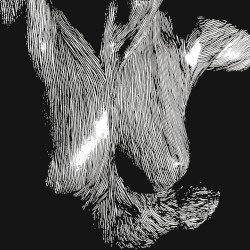 Self Preserved While the Bodies Float Up Cover
