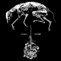 THE BANNER – Greying Cover
