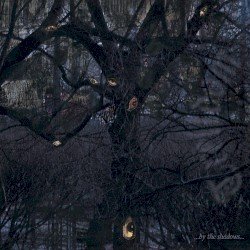 …by the Shadows… Cover