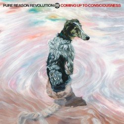 Coming Up to Consciousness Cover