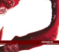 SIDDHARTA – Rh- Cover