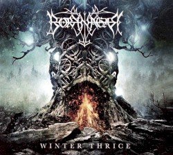 Winter Thrice Cover