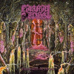Embalmed in Decay Cover