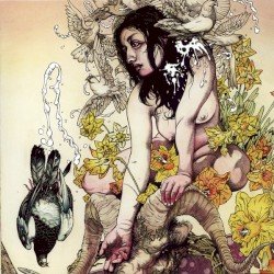 Meir Cover