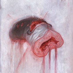 American Heritage – Prolapse Cover