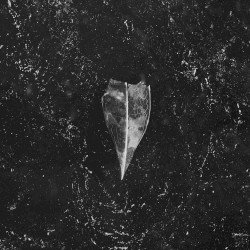 Aion Cover