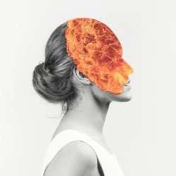 Agent Fresco – Destrier Cover