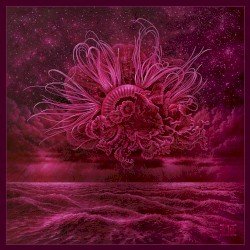 Garden of Storms Cover