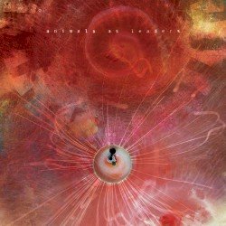 Animals as Leaders – The Joy of Motion Cover