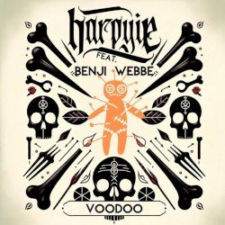 Voodoo Cover