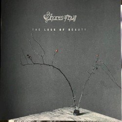 The Loss of Beauty Cover