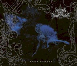 Black Cascade Cover