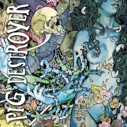 Phantom Limb Cover