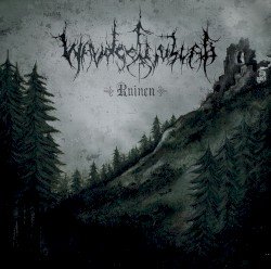 Waldgeflüster – Ruinen Cover