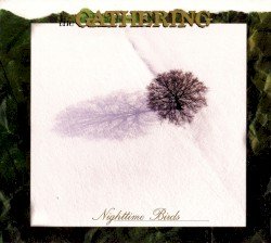 Nighttime Birds Cover