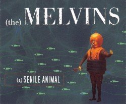 Melvins – (A) Senile Animal Cover