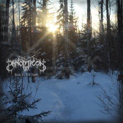 Roads to the North Cover
