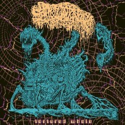 Tortured Whole Cover