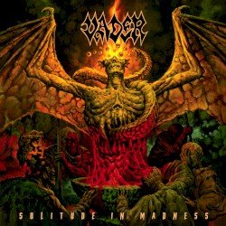 Solitude in Madness Cover