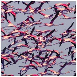 Gore Cover