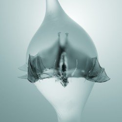 Unprocessed – Angel Cover