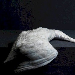 Amenra – Mass VI Cover