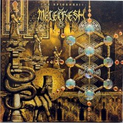 The Epigenesis Cover