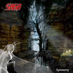 Symmetry Cover