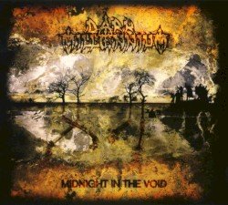 Midnight in the Void Cover