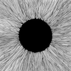 Vola – Witness Cover