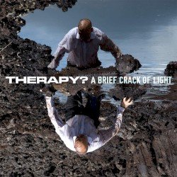 A Brief Crack of Light Cover