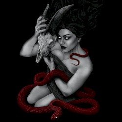 Death Becomes My Voice Cover