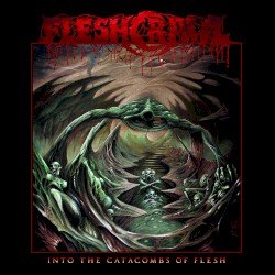 Into The Catacombs Of Flesh Cover