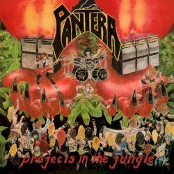 Projects in the Jungle Cover