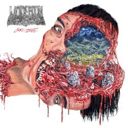 More Insane Cover