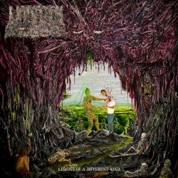 Lesions of a Different Kind Cover