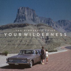 Your Wilderness Cover
