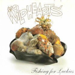 Fishing for Luckies Cover