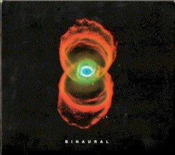 Pearl Jam – Binaural Cover
