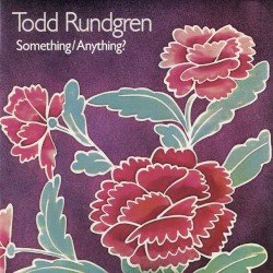 TODD – Something/Anything? Cover