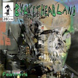 BUCKETHEAD – Feathers Cover