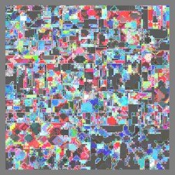 Zebra – maybe Cover